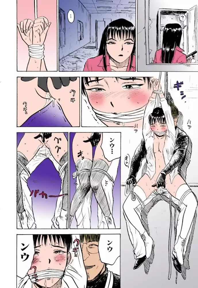 Misshitsu Kankin Goukan