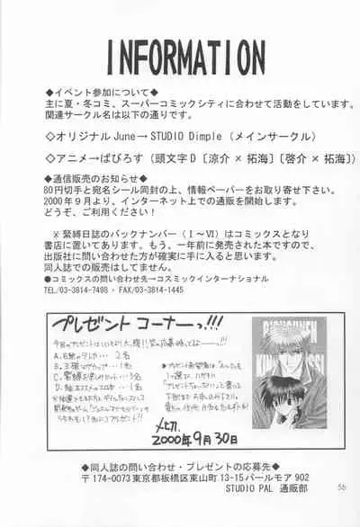 Bishounen Kinbaku Nisshi VIII