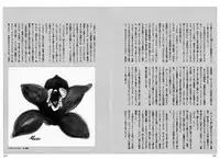 [Kitahara Takeshi] Aijou Monogatari