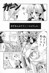 ragdoll 1-4