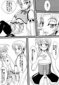 (C76) [Kurotoya (Kuro)] Nikuen no Yakata