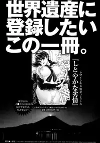 Bishoujo Kakumei KIWAME Road Vol.12