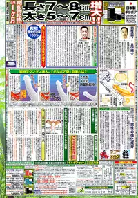 COMIC Shitsurakuten 2009-04