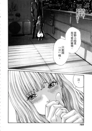 Watashi no H na Rirekisho Mitekudasai