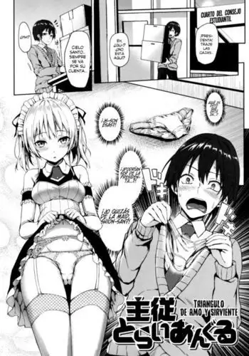 Shujuu Triangle