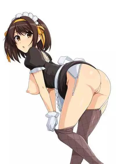 Harucos 8