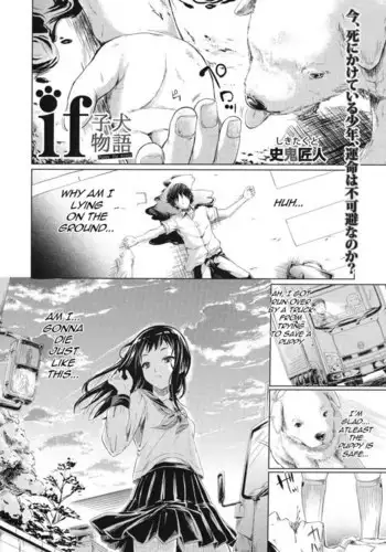 IF - The Puppy Story