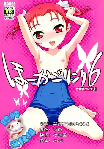 (C84) [Reds! (Aotsuki Hirotada)] Houkago Link 2 (Accel World)