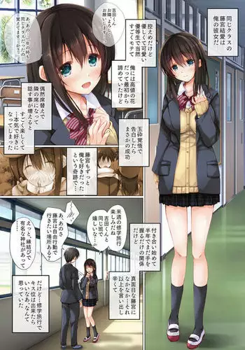 Netorare Shugaku Ryoko