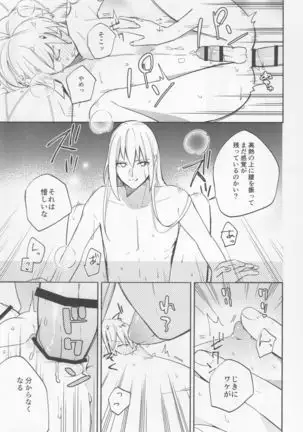 不敬なシュメル熱