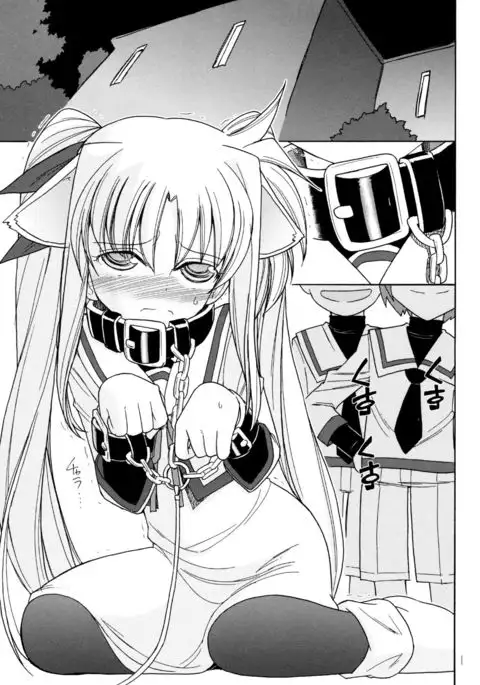 DOG FATE