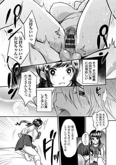 Himitsu no Meshibe