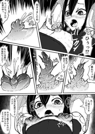 Shinpusama no Yarisugita Chikubikaizou