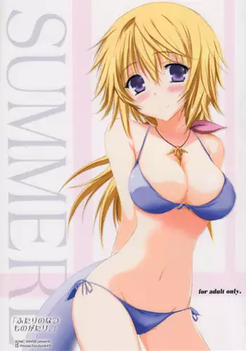 (C81) [SONIC WINTER (Tsukishima Kai)] Carol (Infinite Stratos) [English]