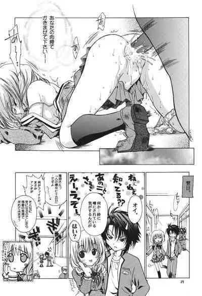 Fuyu no Arashi