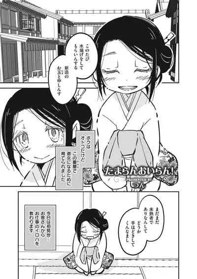 Shikotama