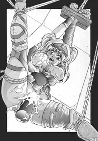 [Yuugai Tosho Kikaku] Goumonkan (Sailor Moon)