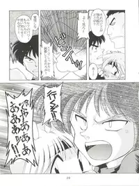 (C48) [豺狼出版 (J・さいろー)] 燕雀 Volume 1 (エルフ・１７、魔法騎士レイアース)