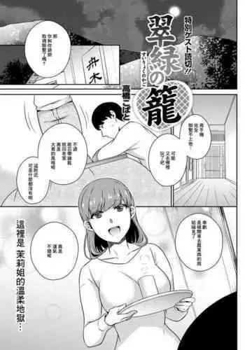 AA-12しょくしゅふたなり