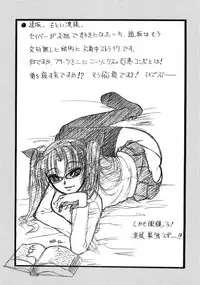 (C66) [Sanazura Doujinshi Hakkoujo (Sanazura Hiroyuki)] Atomic-S (Fate/stay night)