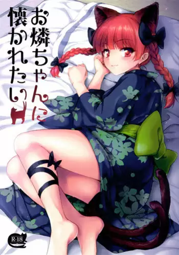 (C78) [54burger (Marugoshi)] ALICE IN NIGHTMARE (Touhou Project)