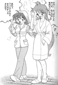[Ginmomodou (Mita Satomi)] Slayers Adult 8 (Slayers)