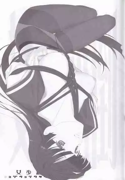 tousaku syojo
