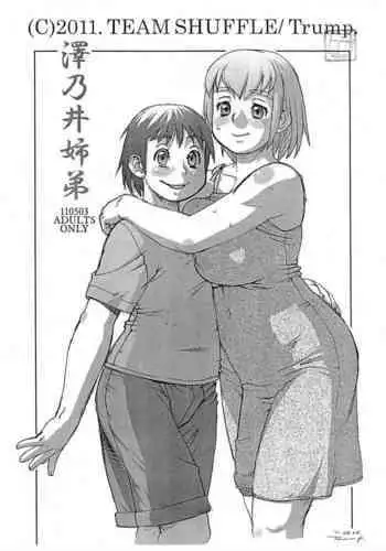 Sawanoi Shitei
