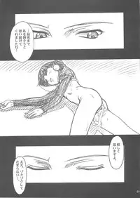 (C69) [MEKONGDELTA, DELTAFORCE (Route39, Zenki)] Darkness (Princess Crown)