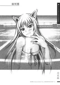 (C76) [Jikiseitokai Junbishitsu] OKOWA's Character Books Vol.3 (Bakemonogatari)