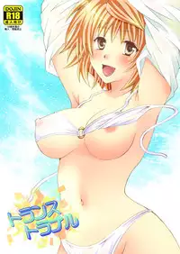 (C80) [Hyogetsu (Momonoki Fum)] Trans Trouble (To Love-Ru)