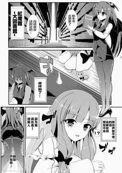 Touhou Toumei Ningen 5 Shinnyuu Daitosyokan