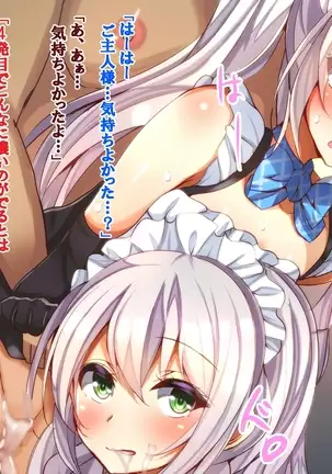 Oshizuke Maid Shimai