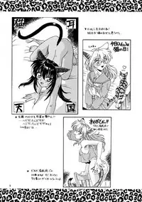 (C53) [.30-06 (Tsutsumi Akari)] CAZA MAYOR