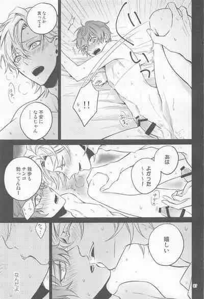 H x D COLLECTION