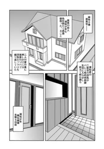 武将干渉モード