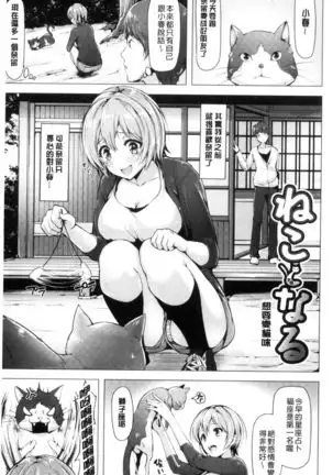 Aigan Buffet