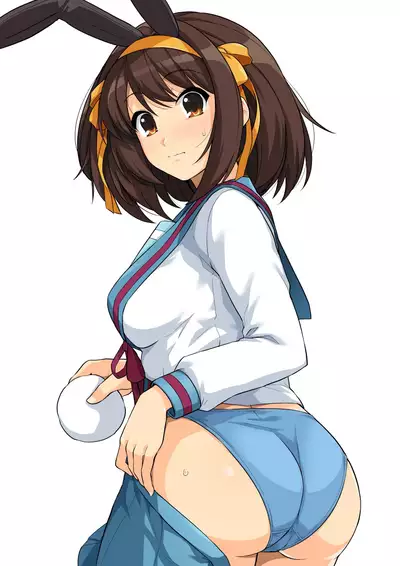 Harucos 12