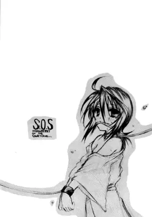 STRAWBERRY ON THE SHORTCAKE