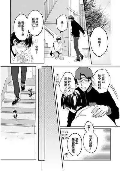 Ippiki Ookami, Koi o Suru | 坠入爱河的狼