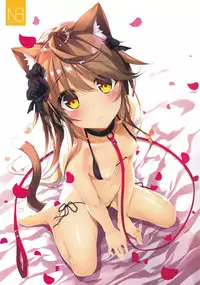 Neko Neko Note 4a