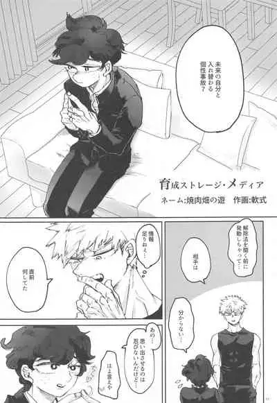 Itoshi no Mukosei