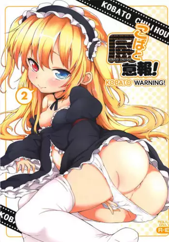 (C81) [TIES (Takei Ooki)] Kobato no Naisho. (Boku wa Tomodachi ga Sukunai)