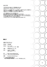 (C81) [Terebisan (Chuusuu Kairo)] Touhou Terebisan 2 (Touhou Project) [English]