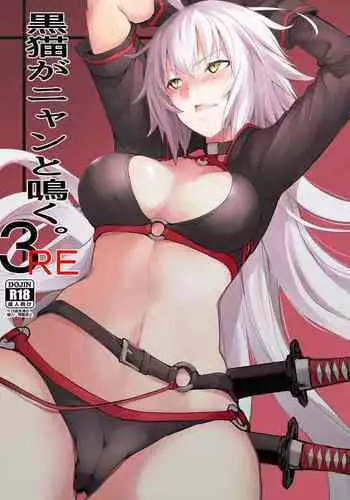 Kuroneko ga Nyan to Naku. 3RE