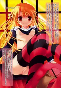 Comic Rin Vol. 29 [2007-05]