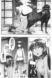 [ShindoL] Junai Irregulars | 純愛不完美情-人 [Chinese]