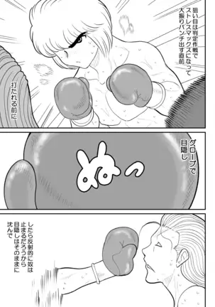 Project NTR ~Boxer Hen~