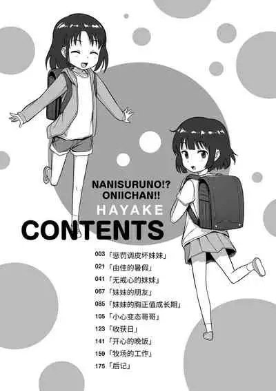 Nani Suru no!? Onii-chan!! | 欧尼酱!?你在干什么!! + 附赠DLsite限定特典