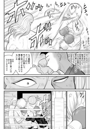 Project NTR ~Boxer Hen~